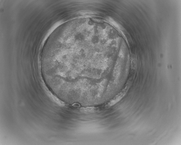 X0000072930859200608111533