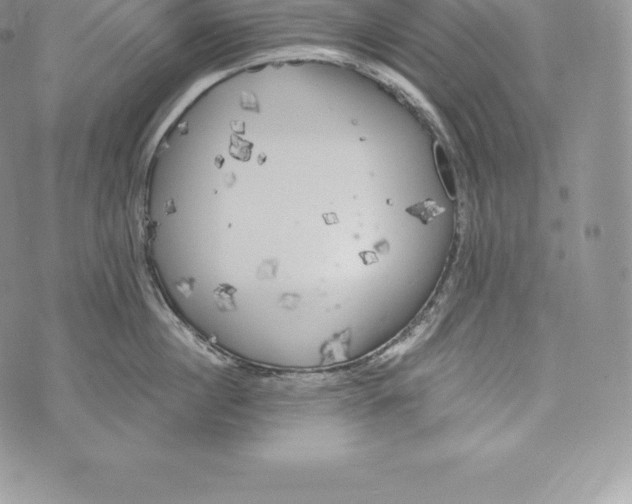 X0000072930860200608111533