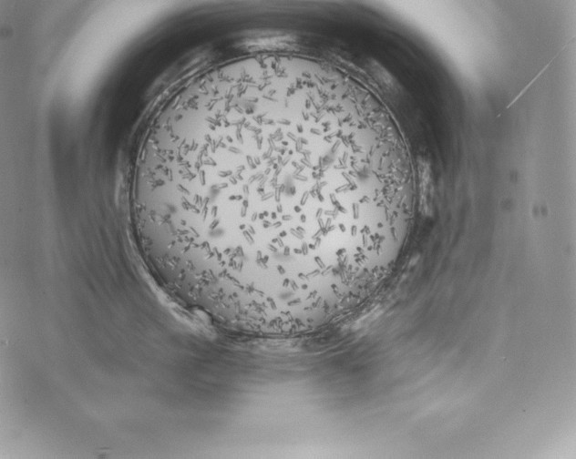 X0000072930861200608111533