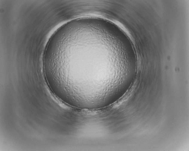 X0000072930862200608111534