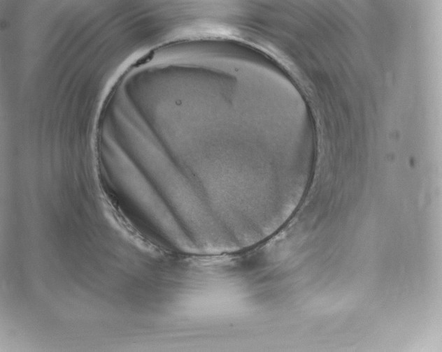 X0000072930864200608111534