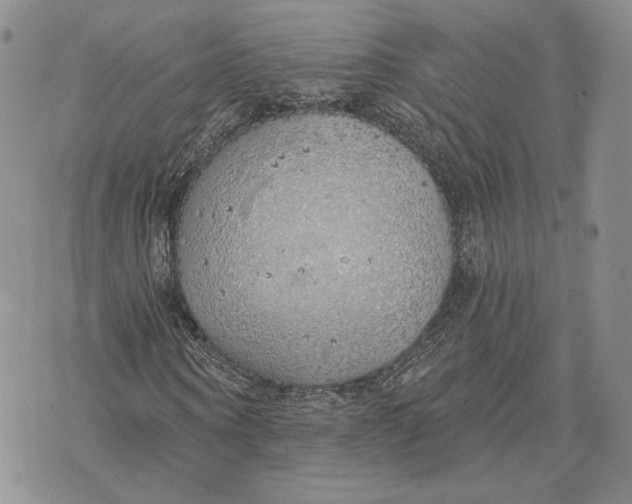 X0000072930866200608111533