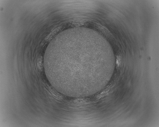 X0000072930867200608111533