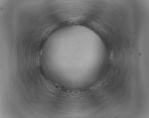 X0000072930868200608111533