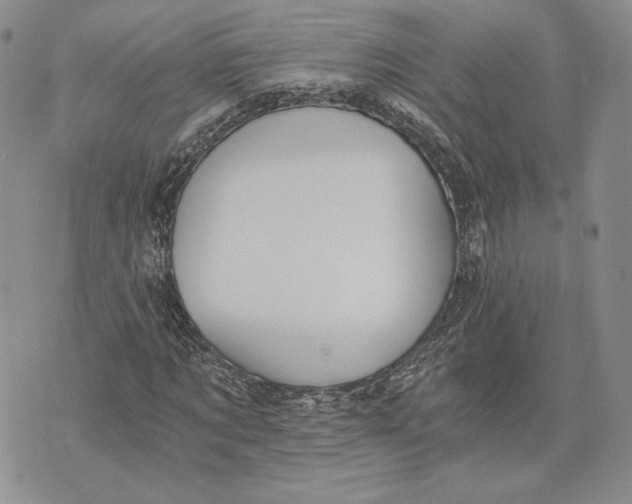 X0000072930869200608111533