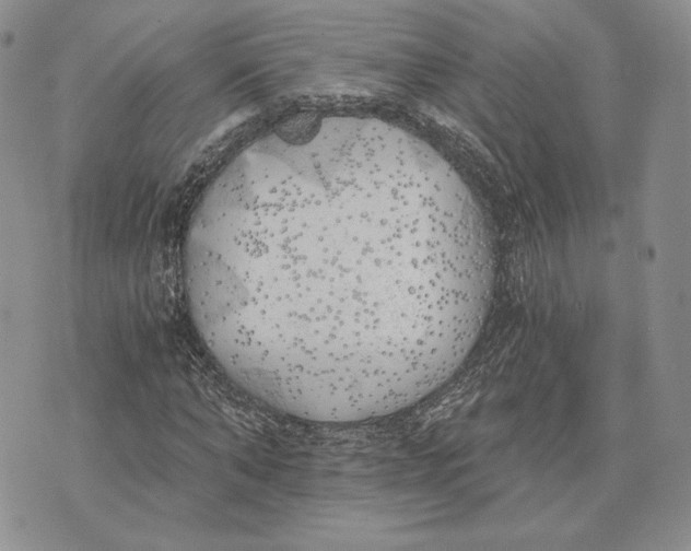 X0000072930870200608111533