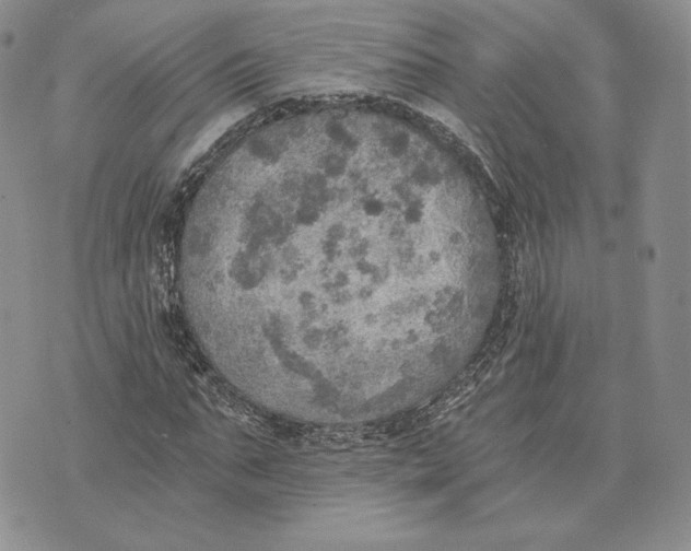 X0000072930871200608111533