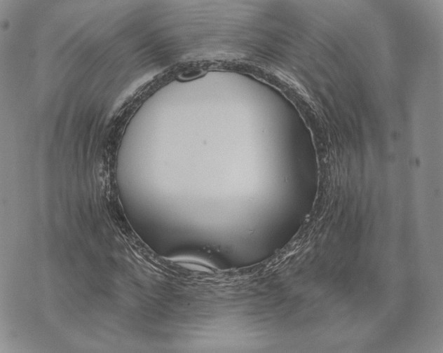 X0000072930872200608111533