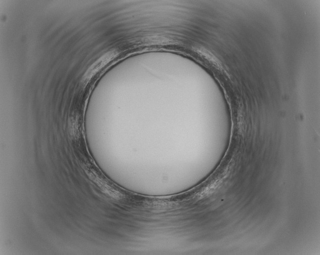 X0000072930873200608111533