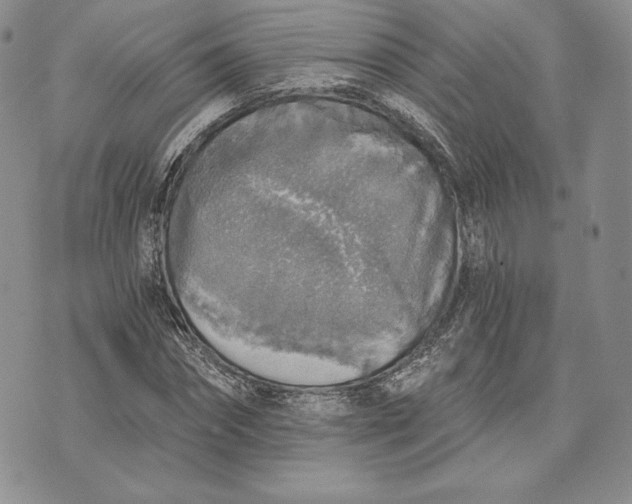 X0000072930874200608111533