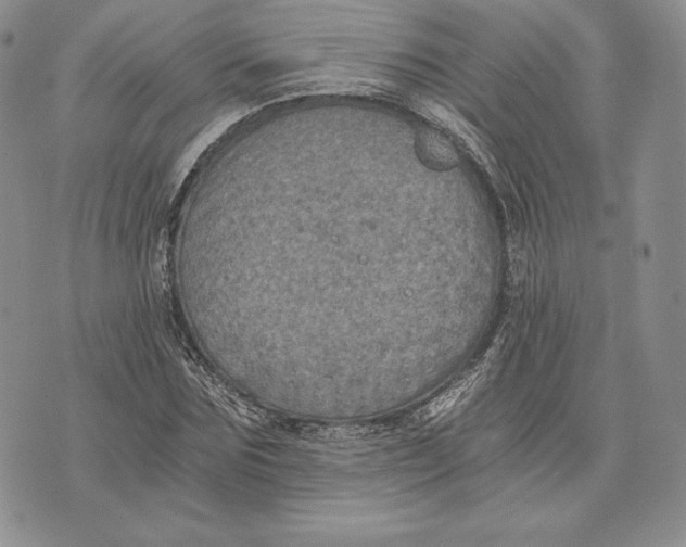 X0000072930875200608111533