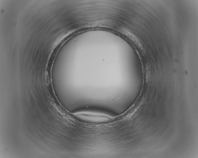 X0000072930876200608111533