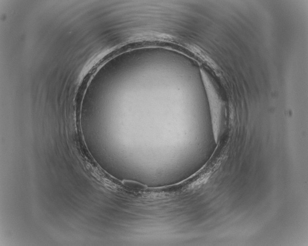 X0000072930877200608111533