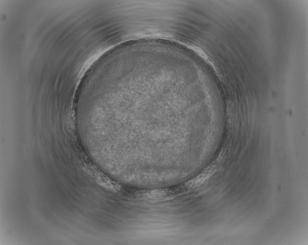 X0000072930879200608111533