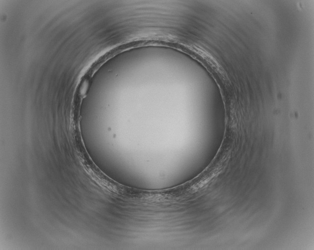 X0000072930880200608111533