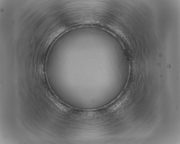 X0000072930881200608111532