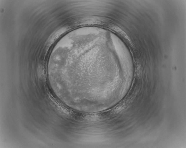 X0000072930882200608111532