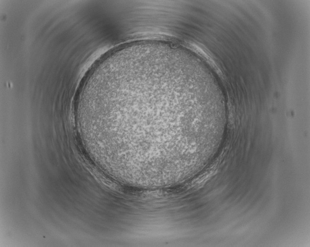 X0000072930883200608111532