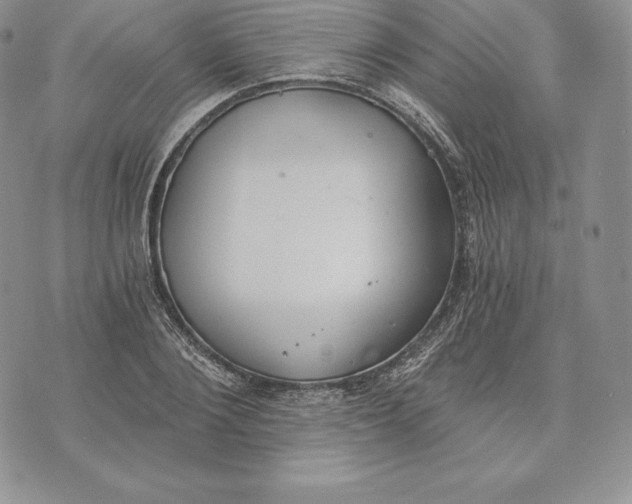 X0000072930884200608111532