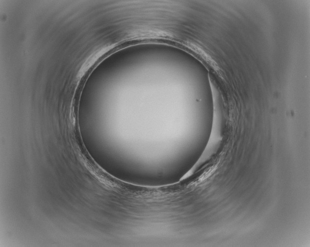 X0000072930885200608111532