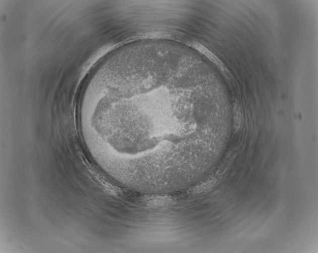 X0000072930886200608111532