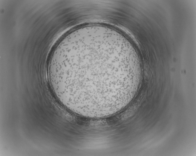 X0000072930887200608111532