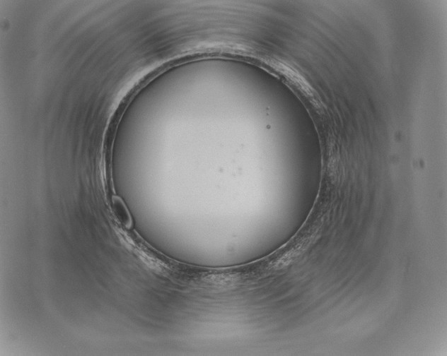 X0000072930888200608111532