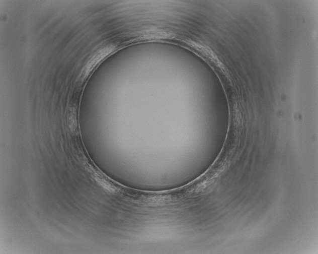 X0000072930889200608111532