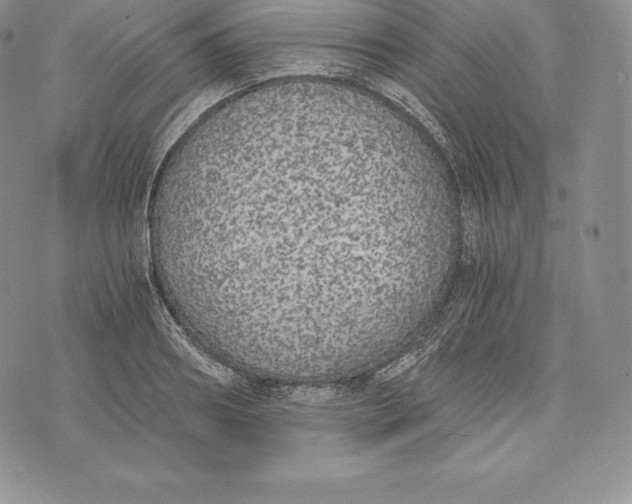 X0000072930890200608111532