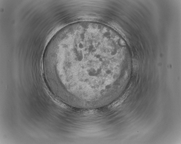 X0000072930891200608111532