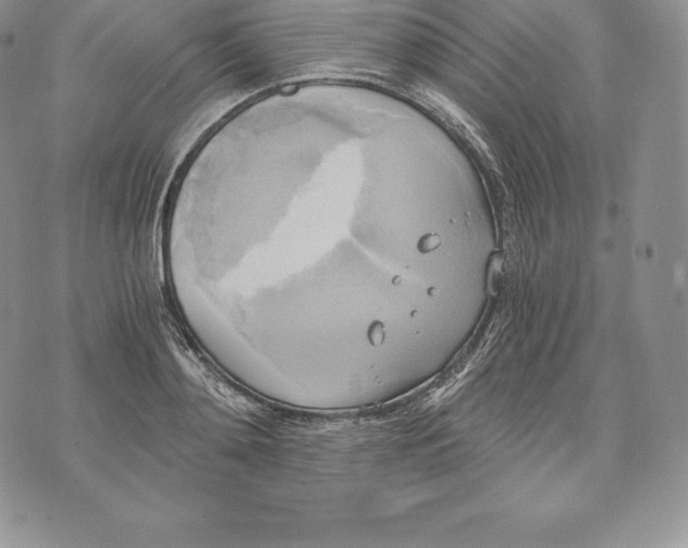 X0000072930892200608111532