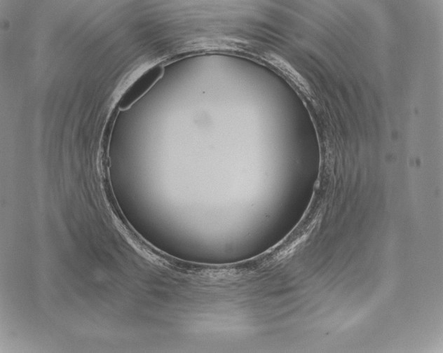 X0000072930893200608111532