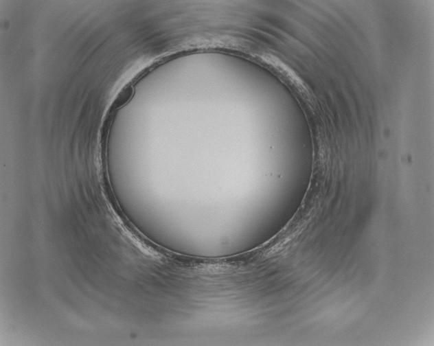 X0000072930894200608111532