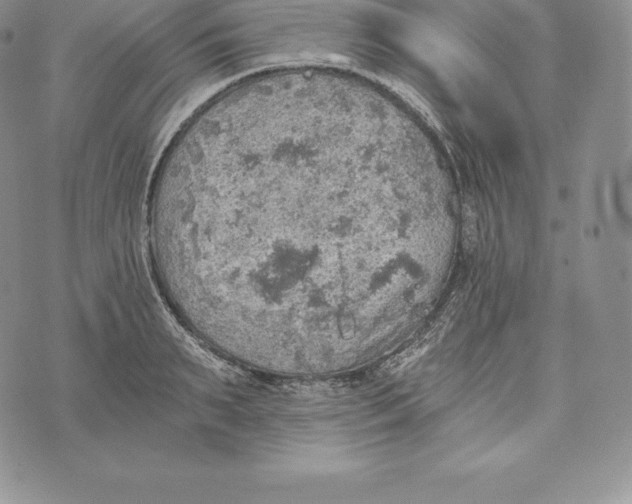 X0000072930895200608111532