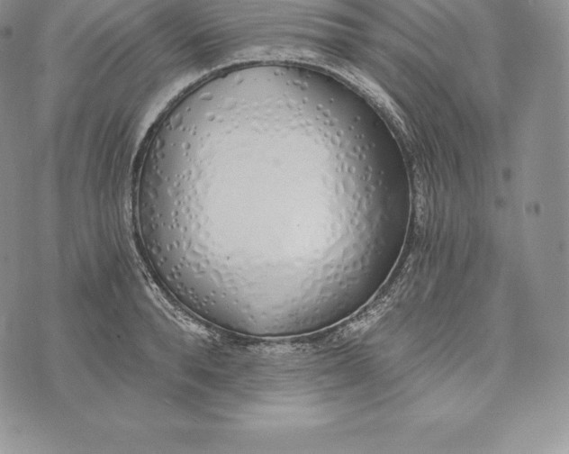 X0000072930896200608111532