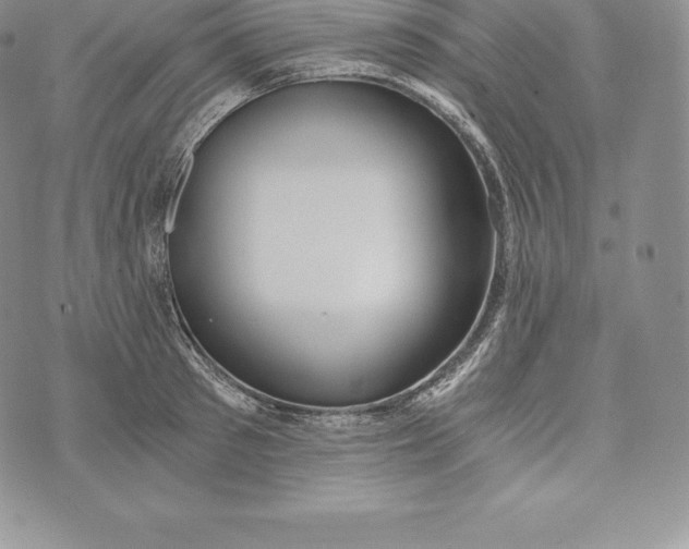 X0000072930897200608111532