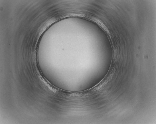 X0000072930898200608111532