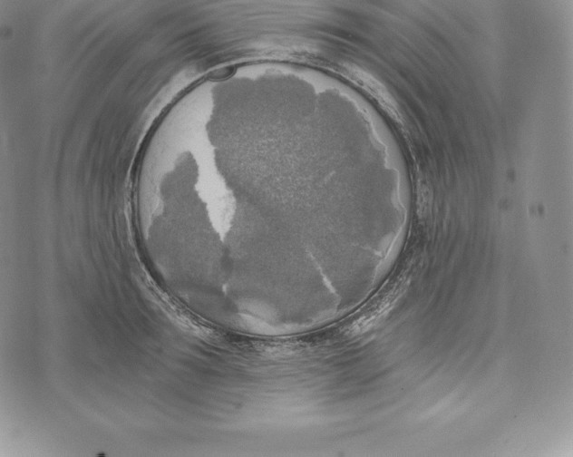 X0000072930899200608111532