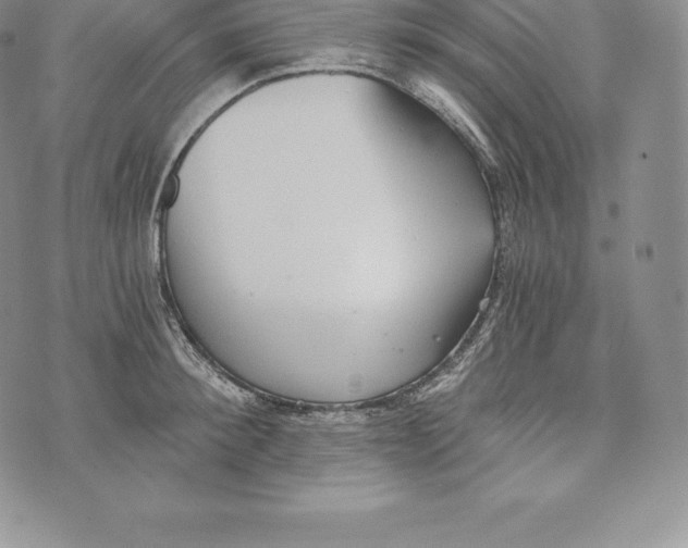 X0000072930900200608111532