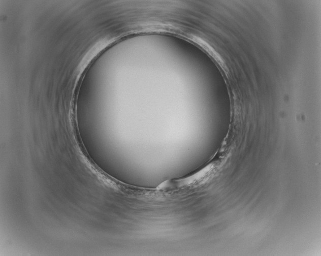 X0000072930901200608111532