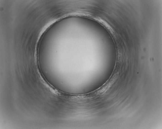 X0000072930902200608111532