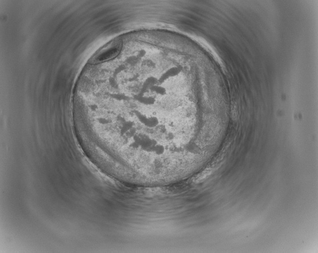 X0000072930903200608111532