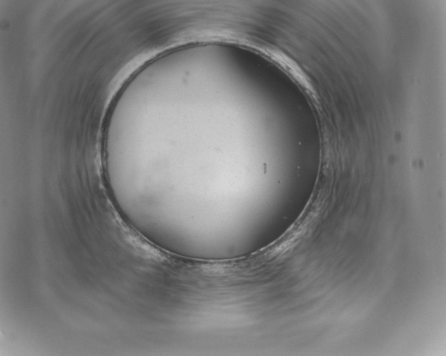 X0000072930904200608111532