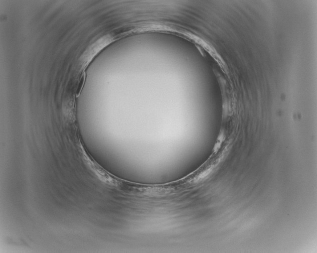 X0000072930905200608111532