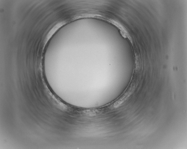 X0000072930906200608111532