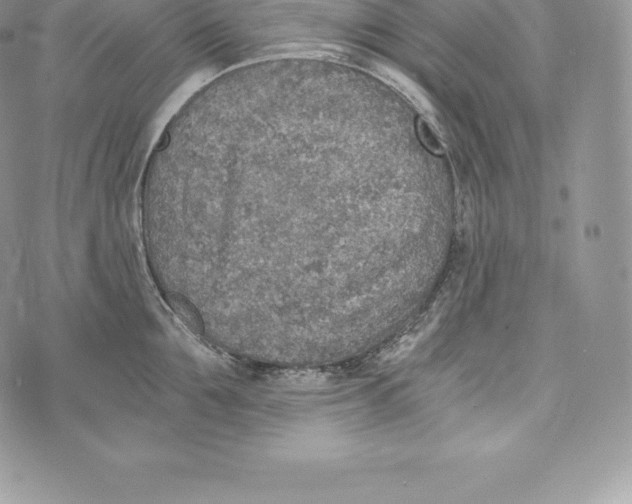 X0000072930907200608111532