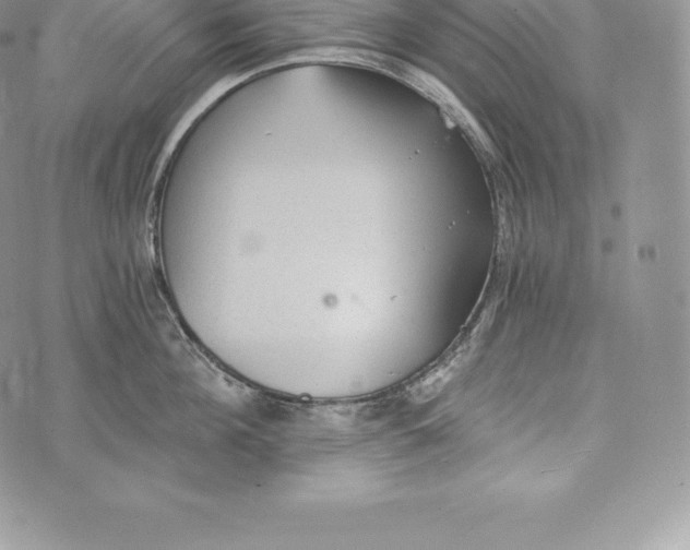 X0000072930908200608111532