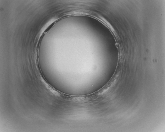 X0000072930909200608111532