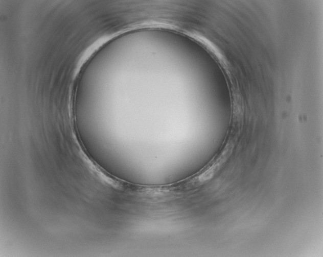 X0000072930910200608111532