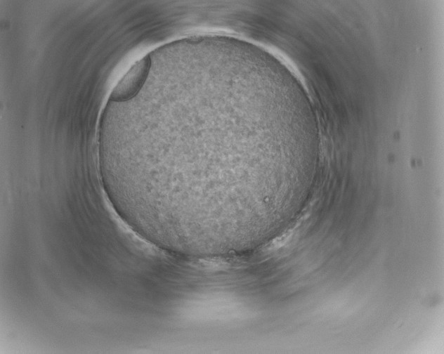 X0000072930911200608111532